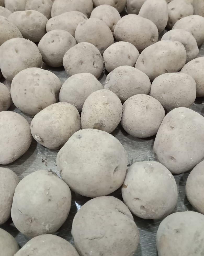 بطاطس هرمز للقلي ما تشرب زيت - توصيل جميع مناطق السعودية